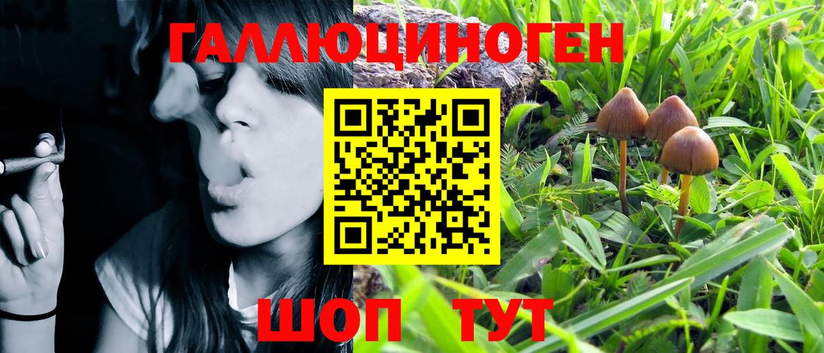 Псилоцибиновые грибы Magic Shrooms Белгород