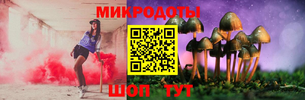 Галлюциногенные грибы Cubensis  Галлюциногенные грибы Psilocybine cubensis  Белгород  Вход с VPN 
